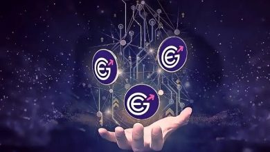 What is evergrow Cryptocurrency?